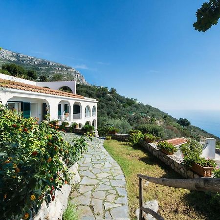 Il Nibbio Apartment Piano di Sorrento Bagian luar foto