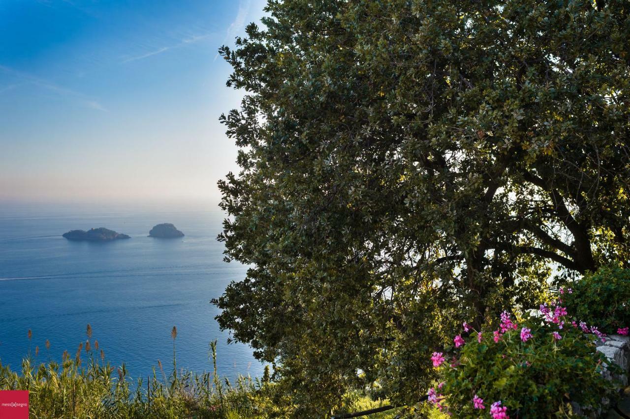 Il Nibbio Apartment Piano di Sorrento Bagian luar foto