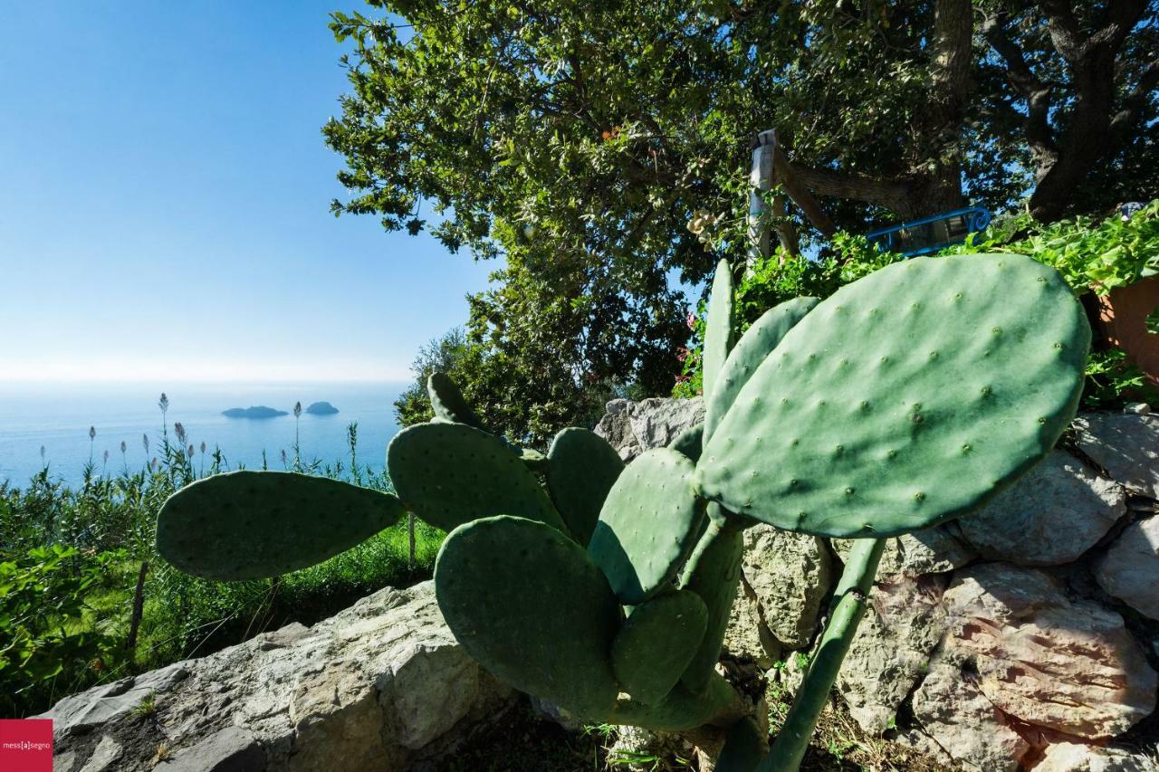 Il Nibbio Apartment Piano di Sorrento Bagian luar foto
