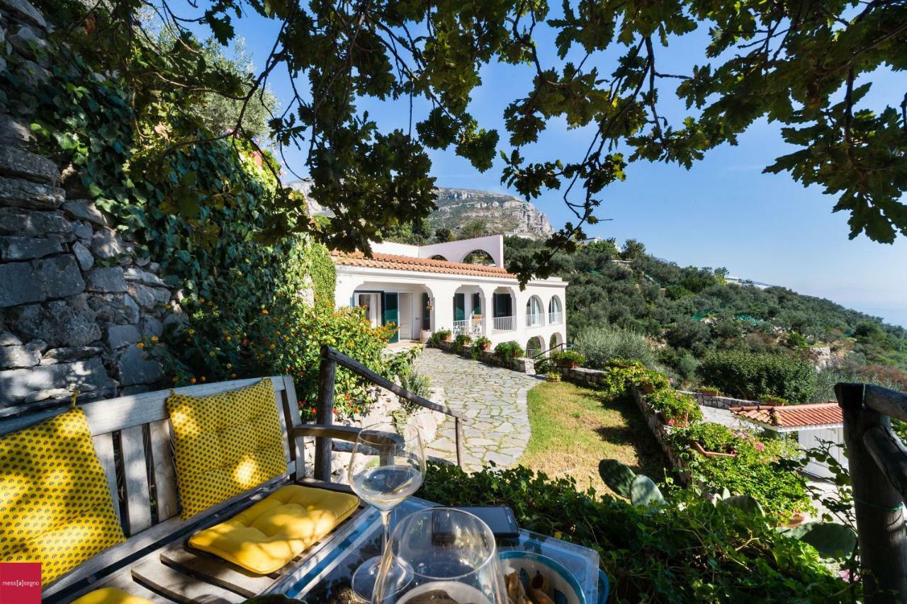 Il Nibbio Apartment Piano di Sorrento Bagian luar foto