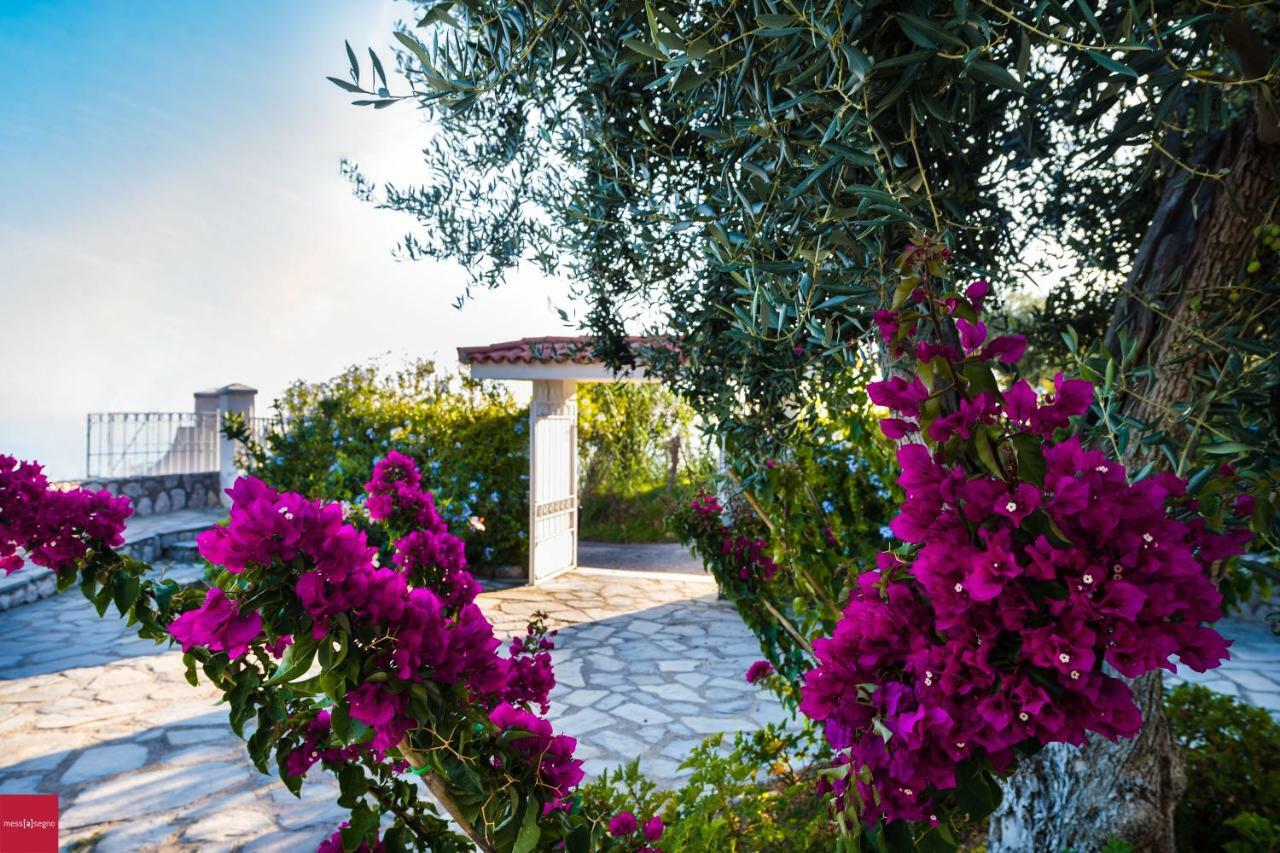 Il Nibbio Apartment Piano di Sorrento Bagian luar foto
