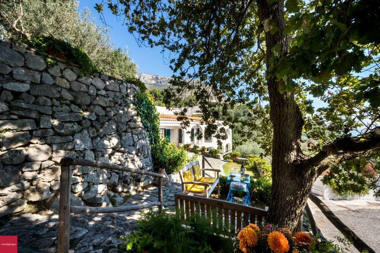 Il Nibbio Apartment Piano di Sorrento Bagian luar foto