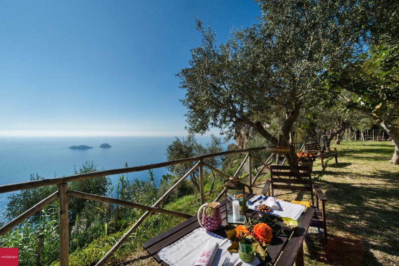 Il Nibbio Apartment Piano di Sorrento Bagian luar foto