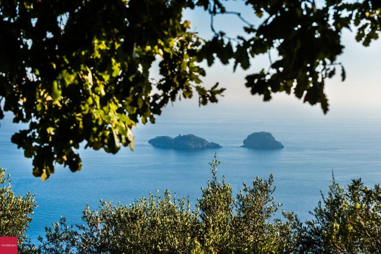 Il Nibbio Apartment Piano di Sorrento Bagian luar foto