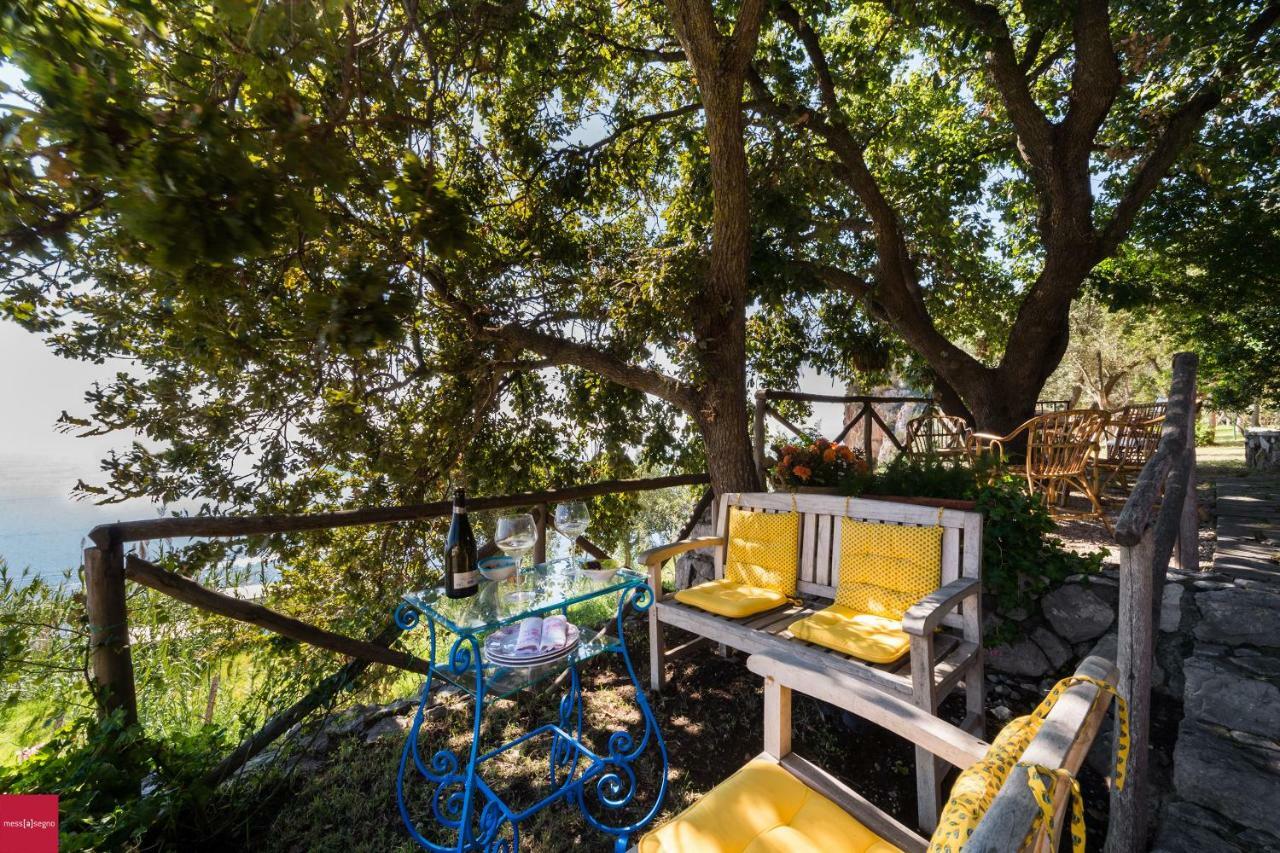 Il Nibbio Apartment Piano di Sorrento Bagian luar foto