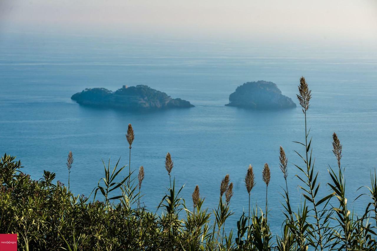 Il Nibbio Apartment Piano di Sorrento Bagian luar foto