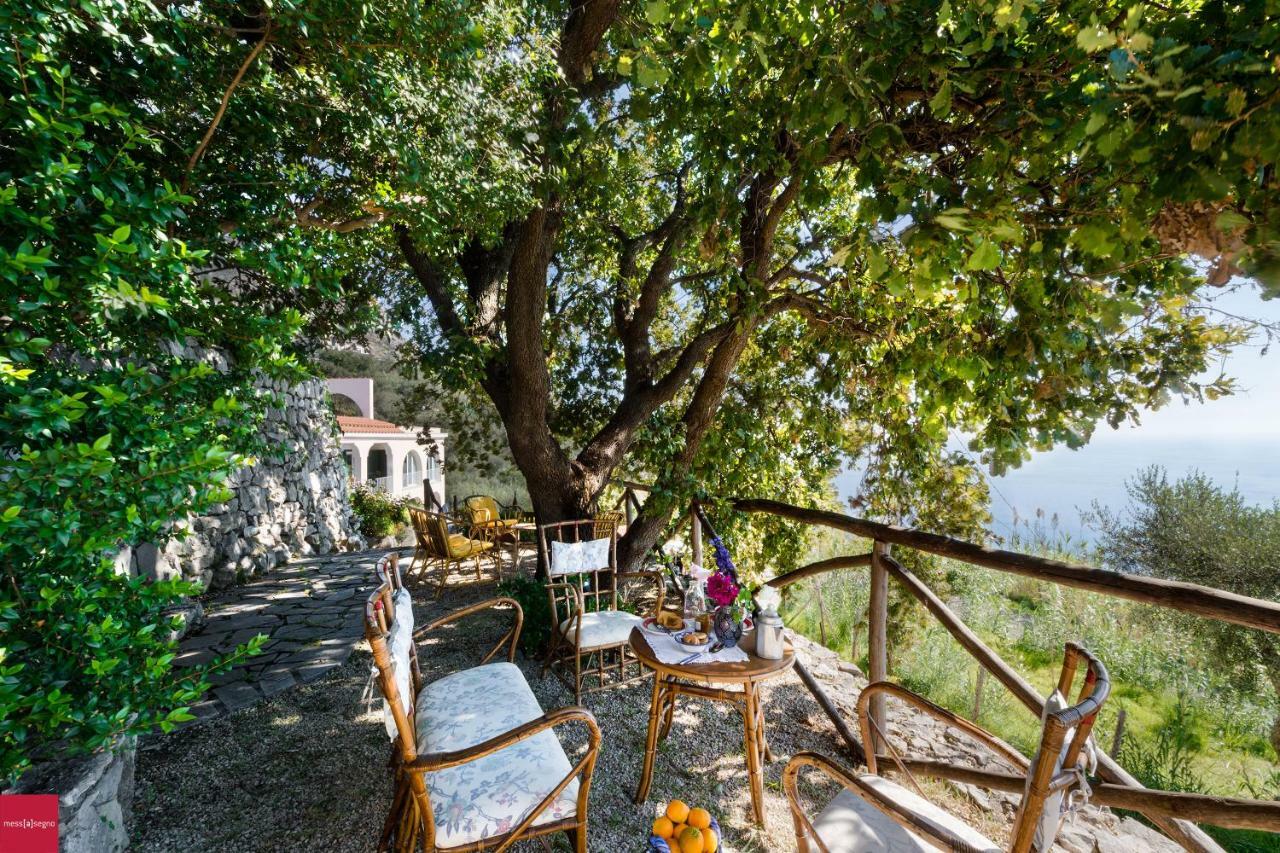 Il Nibbio Apartment Piano di Sorrento Bagian luar foto